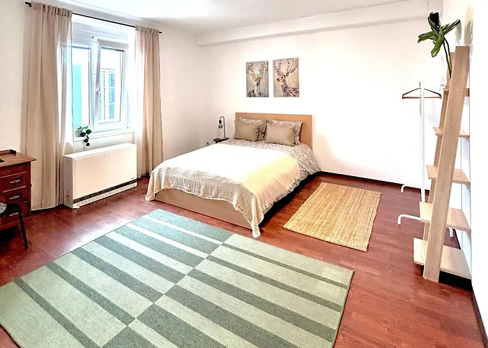 Franziskaner #8 Apartment Graz