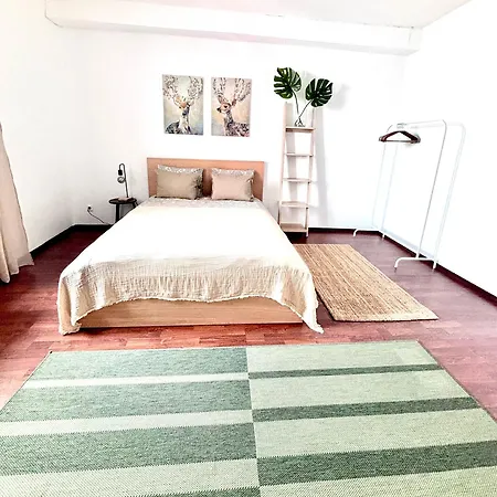 Franziskaner #8 Apartmán Štýrský Hradec