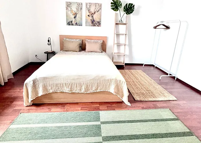 Franziskaner #8 公寓 格拉茨